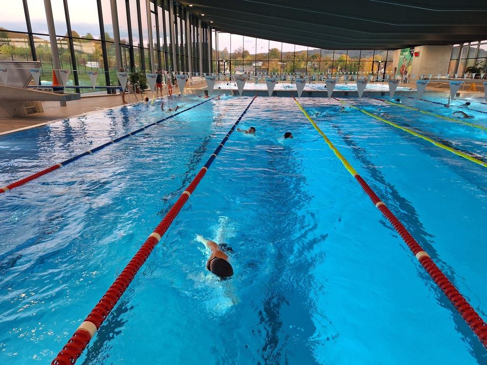 Schwimmer in einem eingelassenen Becken mit mehreren Bahnen und Startblöcken, umgeben von großen Fenstern.