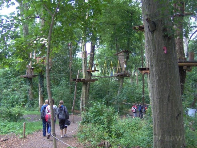 Waldkletterpark-02